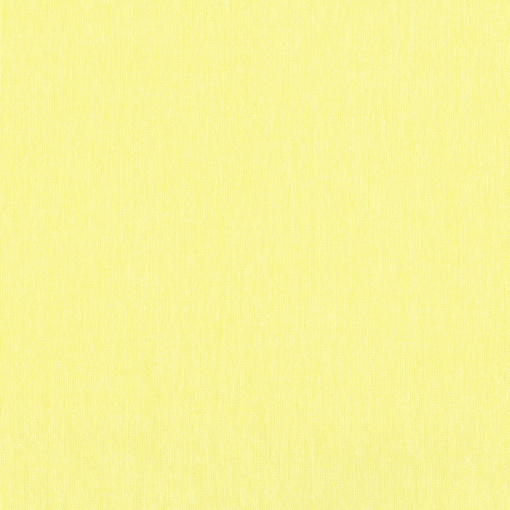 Worker Chambray fabric