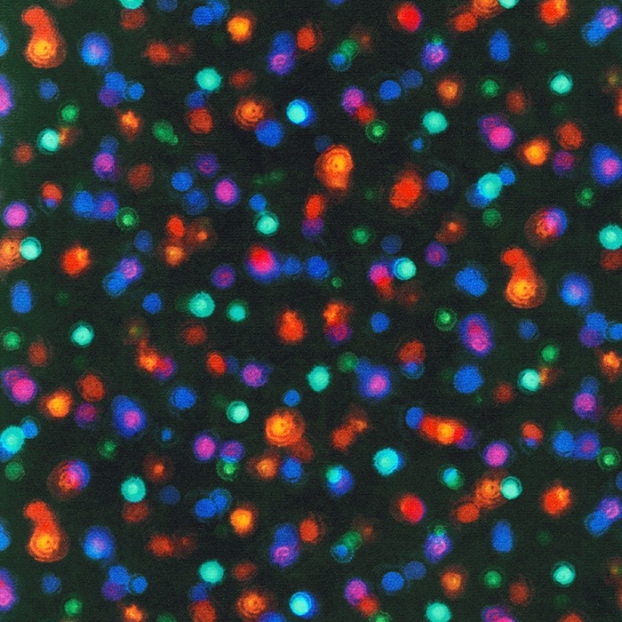 Minky Collection fabric