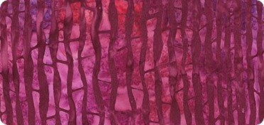 Pattern Artisan Batiks: Sakura