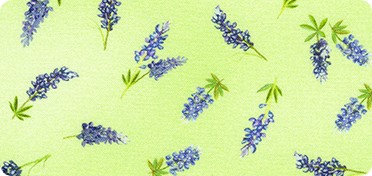 Pattern Texas In Bloom