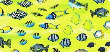 Fish on black Digitally Printed Fabric yard Coral Canyon by Carolyn Steele
