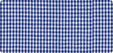 Pattern Seersucker Stripe/Check