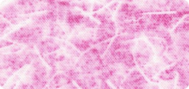 Pattern Flowerhouse: Natural Textures