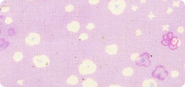 Pattern Water Garden