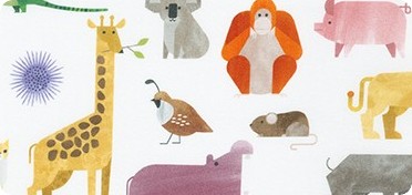 Pattern A to Z Animals