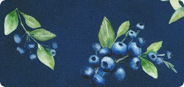Pattern Blueberry Brunch