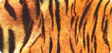 Pattern Animal Kingdom Wide Sateen