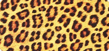 Pattern Animal Kingdom Wide Sateen