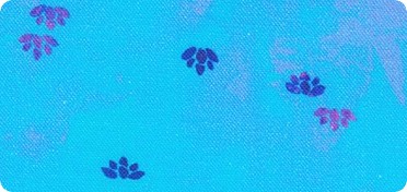 Pattern Wishwell: Bloomburst 
