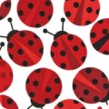 Featured image AAK-11504-3 RED