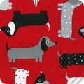 Featured image AAK-15736-3 RED