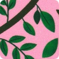 Featured image AAK-21502-287 SWEET