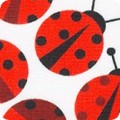 AAKDKX-11504-397 LADYBUG