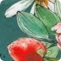 Wishwell: Strawberry Season