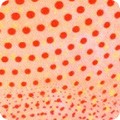 RK-product ADND-22283-10