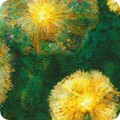 RK-product ADND-23257-286