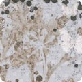 RK-product ADR-15432-181