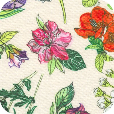 AFAD-24015-226 PEONY AFAD-24015-226 PEONY