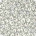 RK-product AFR-19927-188