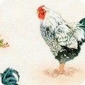 RK-product AGBD-18644-276
