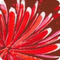 Featured image AHVD-22301-3 RED