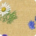 Seeds to Sew