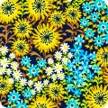 Just Dandy