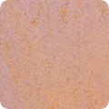 Featured image AJSDX-20976-208 DAWN
