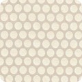 RK-product AJSP-18217-87
