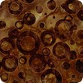 RK-product AMD-19074-168