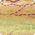Artisan Batiks: Desertscapes