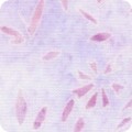 Featured image AMD-22206-21 LILAC