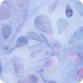 RK-product AMD-23368-65