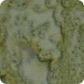 Featured image AMD-7000-268 NATURE