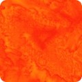 AMD-7000-296 KUMQUAT