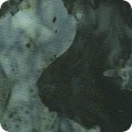 Featured image AMDM-22067-335 SHALE