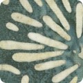 Featured image AMDM-22070-160 TAUPE