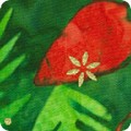 Artisan Batiks:  Twinkle Lights
