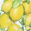 Fabric Fruit/Vegetable