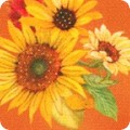 Featured image AMKD-21804-148 PUMPKIN