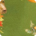 Featured image AMKD-21805-49 OLIVE