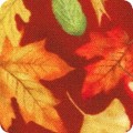 Featured image AMKD-21806-322 ORANGE SPICE