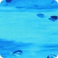RK-product AQCD-19907-73