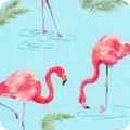 Flamingo Paradise Flamingo Paradise
