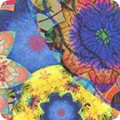 AQSD-19972-205 MULTI