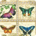 Fabric Bugs & Butterflies