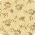 Featured image AUJD-22242-415 FLAX