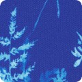 RK-product AVMDM-23216-72