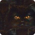 Featured image AYVD-19562-2 BLACK