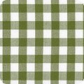 AZH-17722-218 AVOCADO